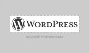 custom-logos-WP-45 Logo im Customizer